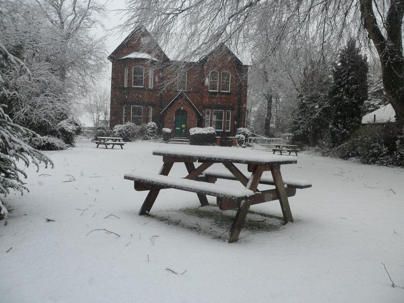 snow community