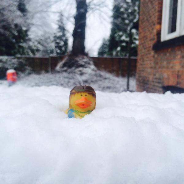 snow herman