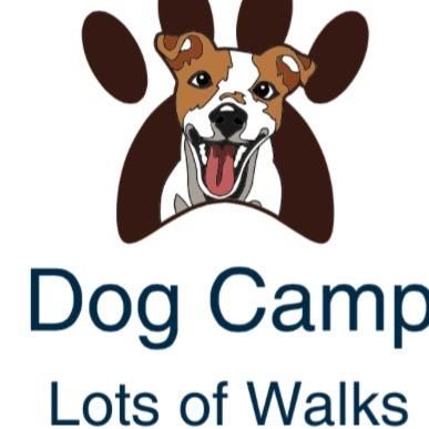 Dog Camp