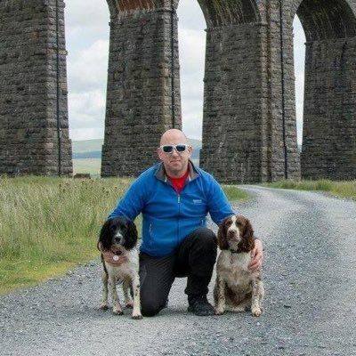 dogs4walks
